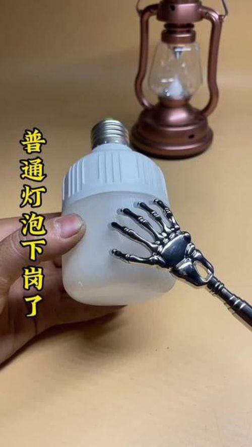 給愛寵與生活加點料 這些實用好物，獸醫也在用！