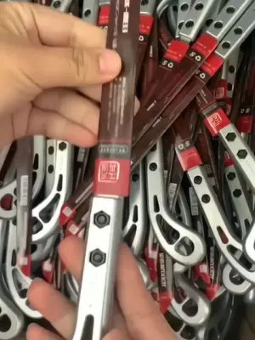 寵物家庭常備 專業獸醫推薦，讓愛寵健康無憂的實用工具清單